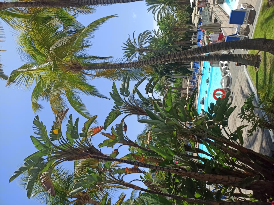 Pool Bull Costa Canaria & Spa - Adults only