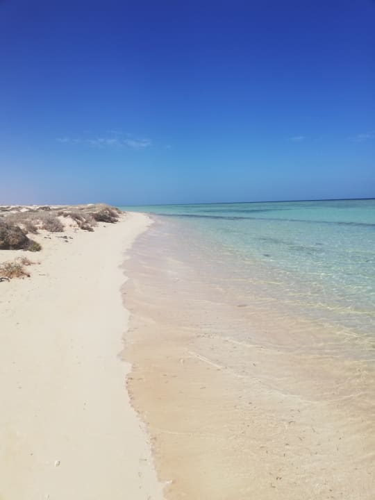 Strand Hotel Gorgonia Beach Resort