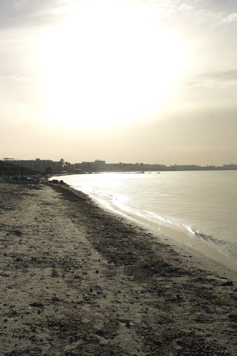 Hotel Strand Hotel Rosa Beach