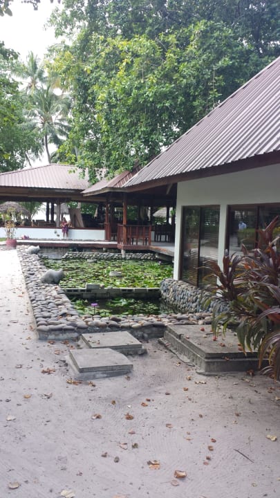 Gartenanlage Filitheyo Island Resort