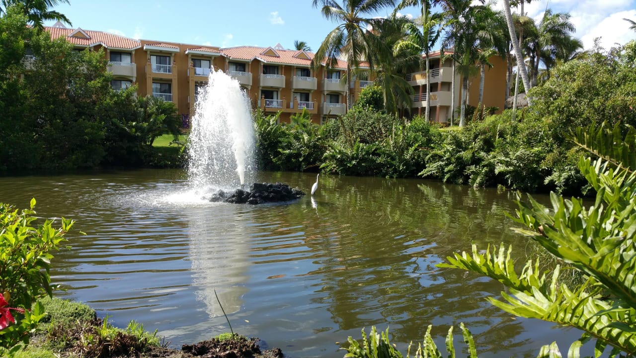 Die Gartenanlage Hotel Viva Dominicus Palace by Wyndham-All Inclusive Resort