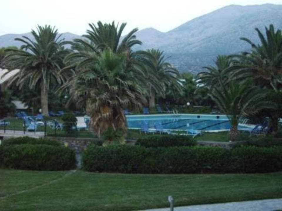 Garten mit Pool im Hintergrund Calimera Sirens Beach