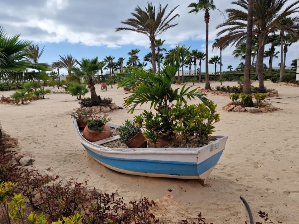 Gartenanlage Hotel Riu Karamboa