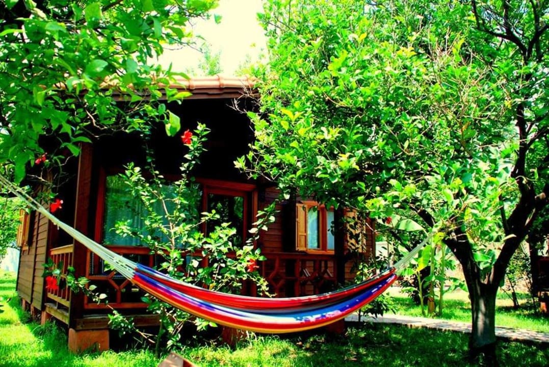 Baraka house  Guesthouse Baraka House