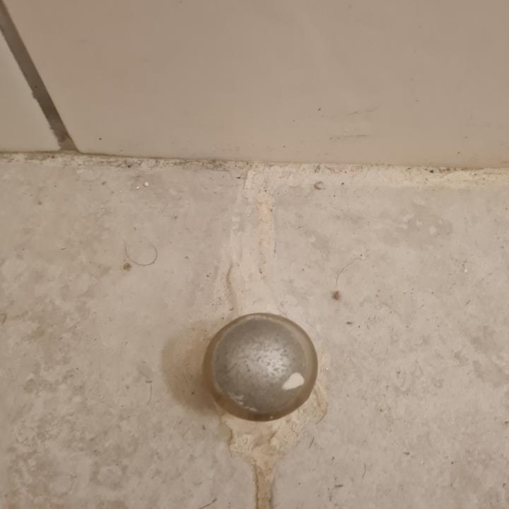 Zimmer Bitez Garden Life