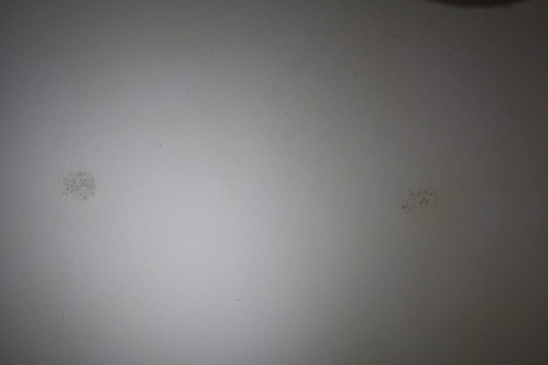 Schimmel an der Decke Secrets Royal Beach Punta Cana - Adults only