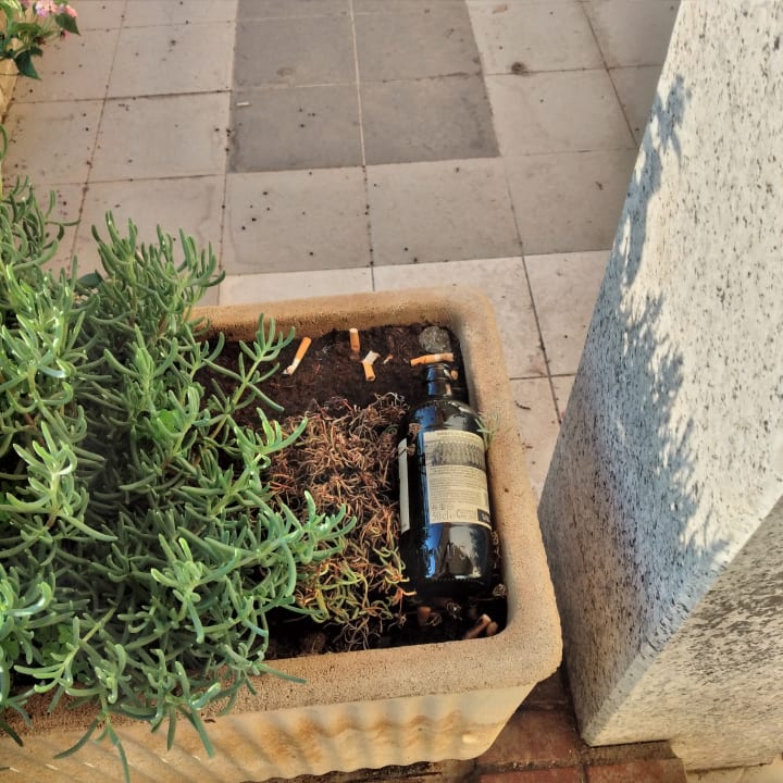 Gartenanlage Aparthotel Oasi Anfiteatro