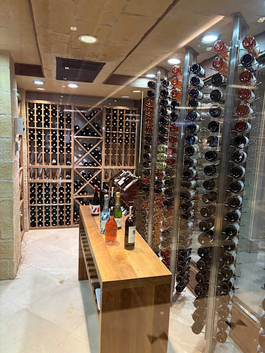 Gastro Papillon Ayscha