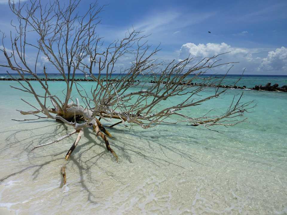 Strand im O-Resort Kuredu Island Resort & Spa