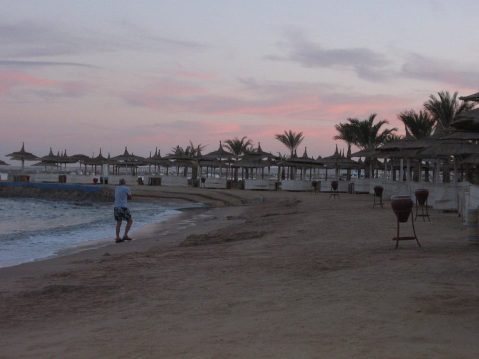 У отеля собственный пляж Beach Albatros Resort