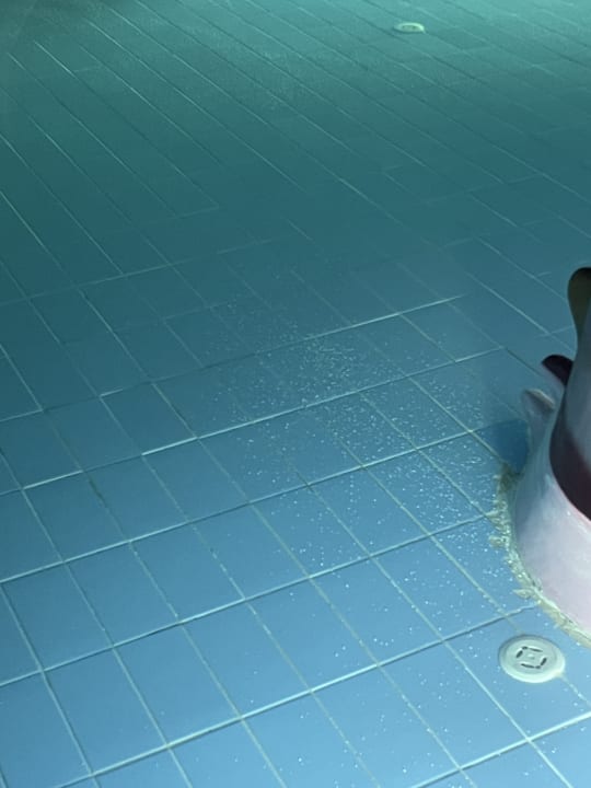 Pool Limak Lara Deluxe Hotel & Resort