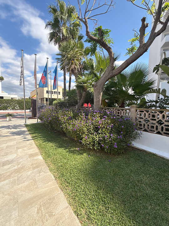 Gartenanlage allsun Hotel Riviera Playa