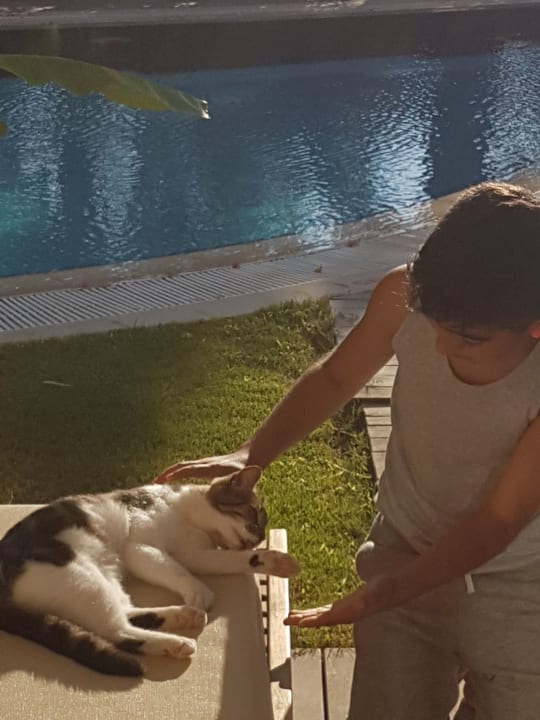 Gartenanlage Paloma Pasha