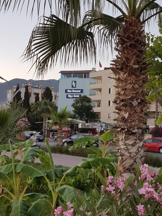 Außenansicht Blue Diamond Alya