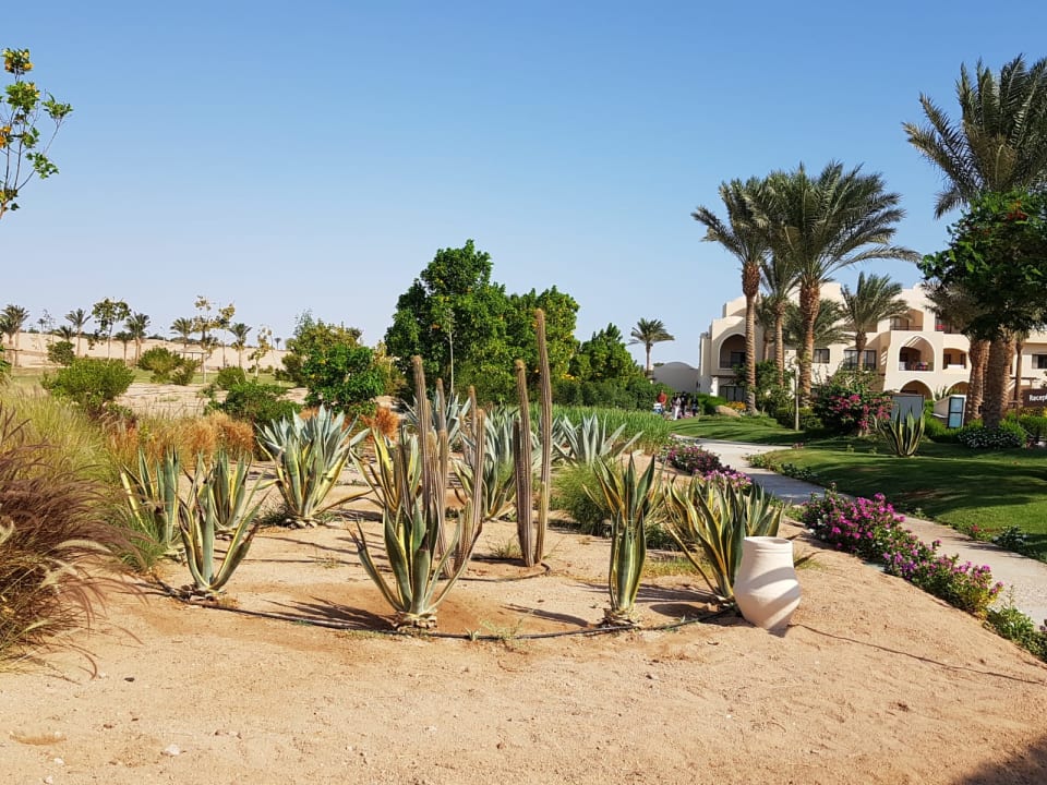 Gartenanlage JAZ Neo Saraya Palms