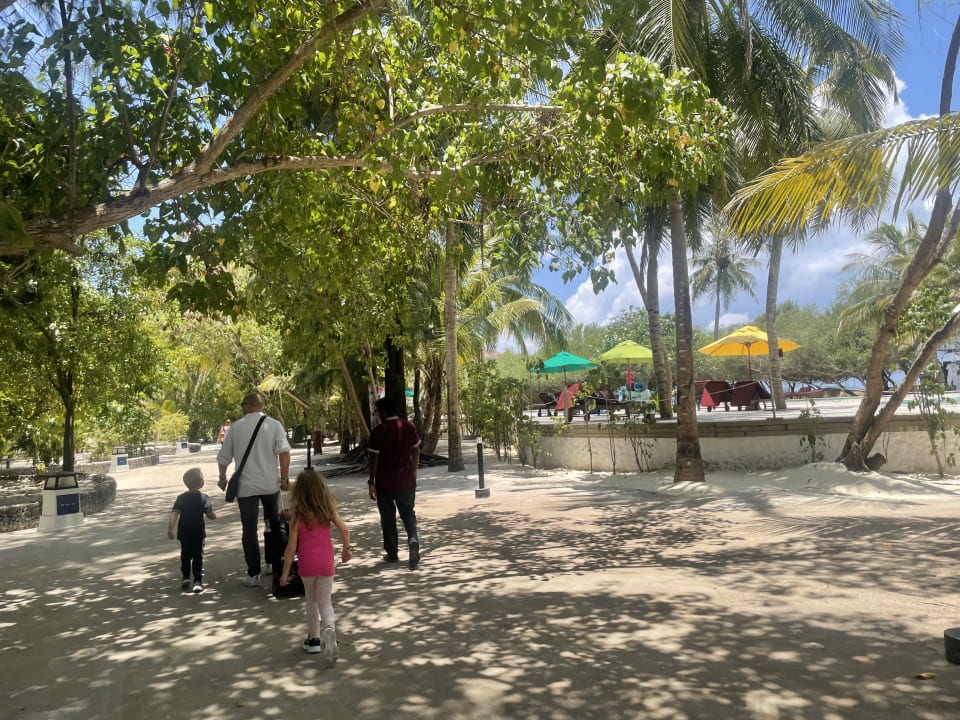 Gartenanlage Cinnamon Dhonveli Maldives