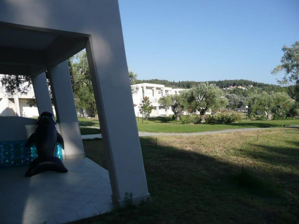 Widok z pokoju Iris Hotel