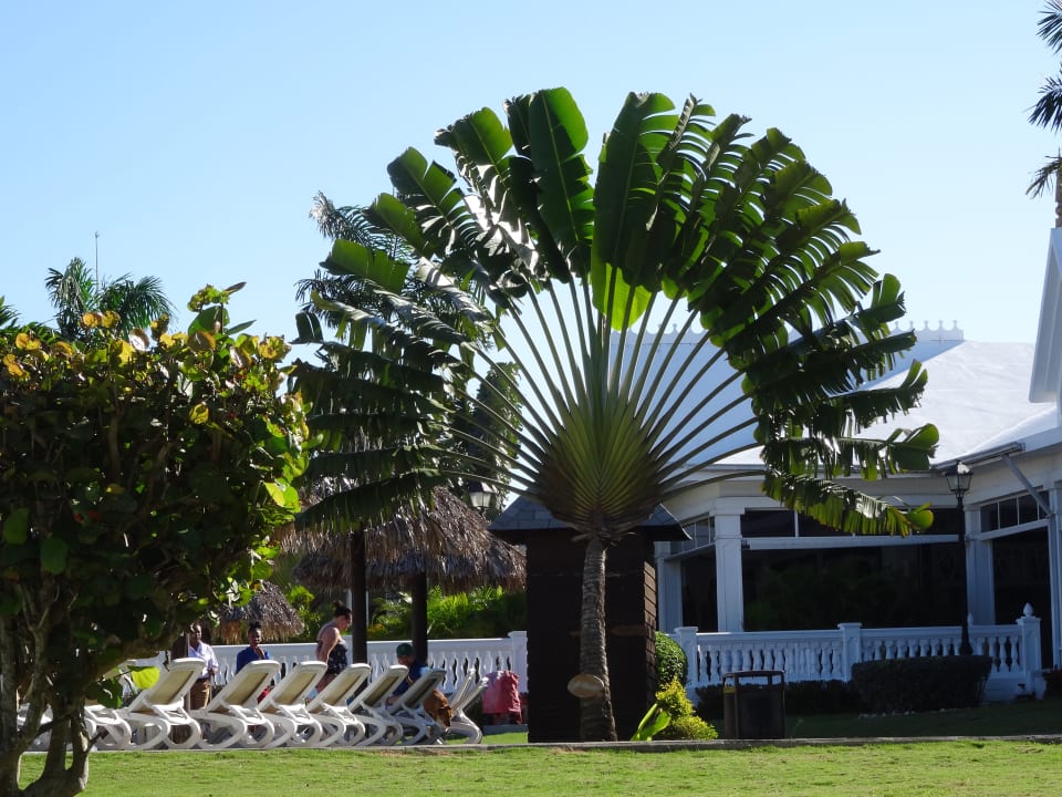 Garten Hotel Riu Negril