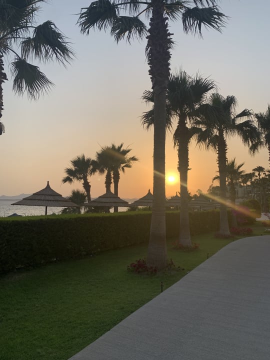 Ausblick TUI MAGIC LIFE Bodrum - Adult Only (16+)