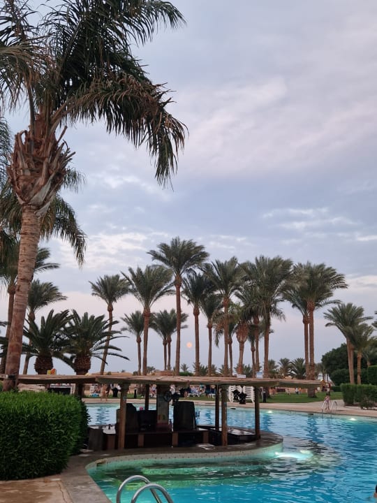 Gartenanlage Stella Beach Resort & Spa Makadi Bay