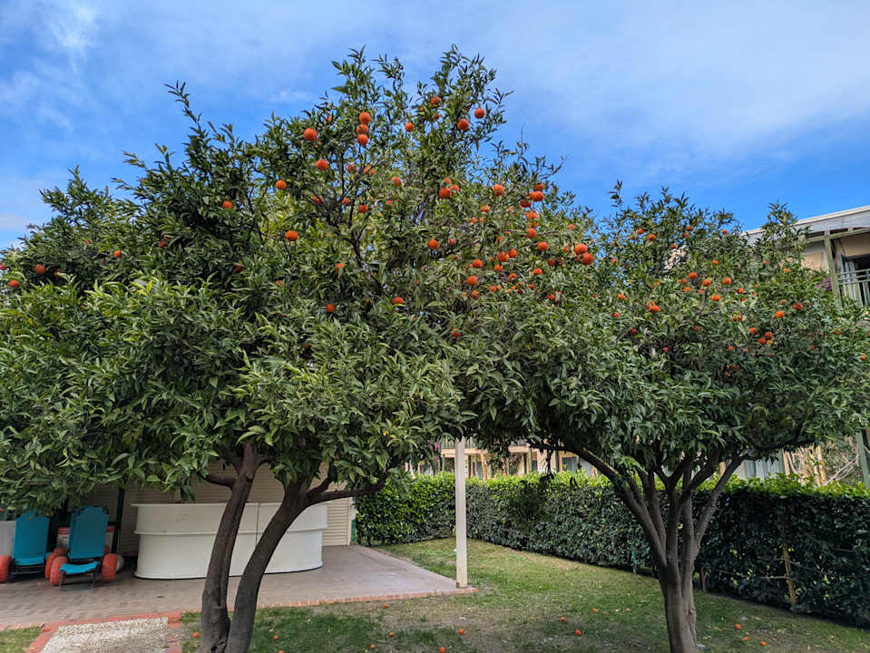 Gartenanlage Limak Limra Hotel & Resort