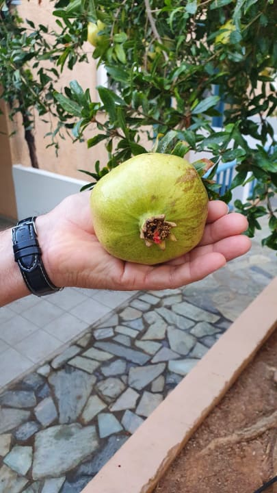 Gartenanlage Fodele Beach & Water Park Holiday Resort