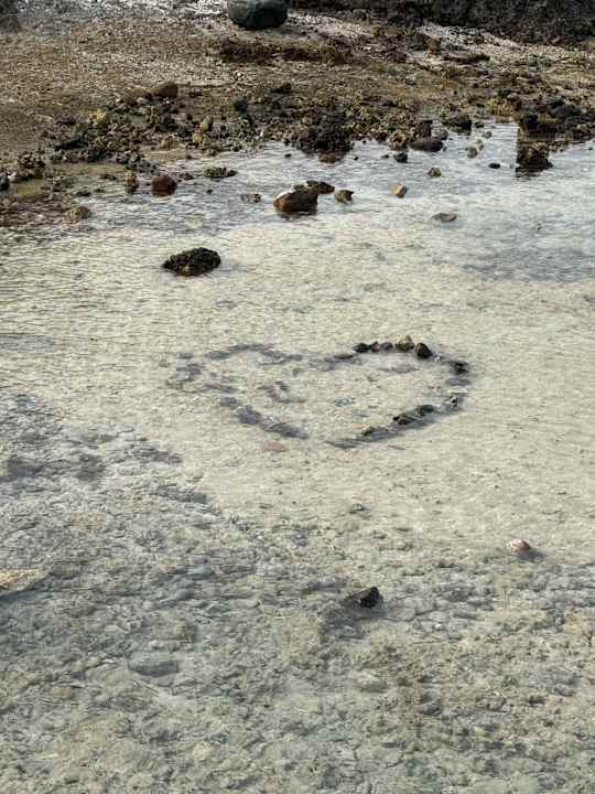 Strand TUI MAGIC LIFE Kalawy