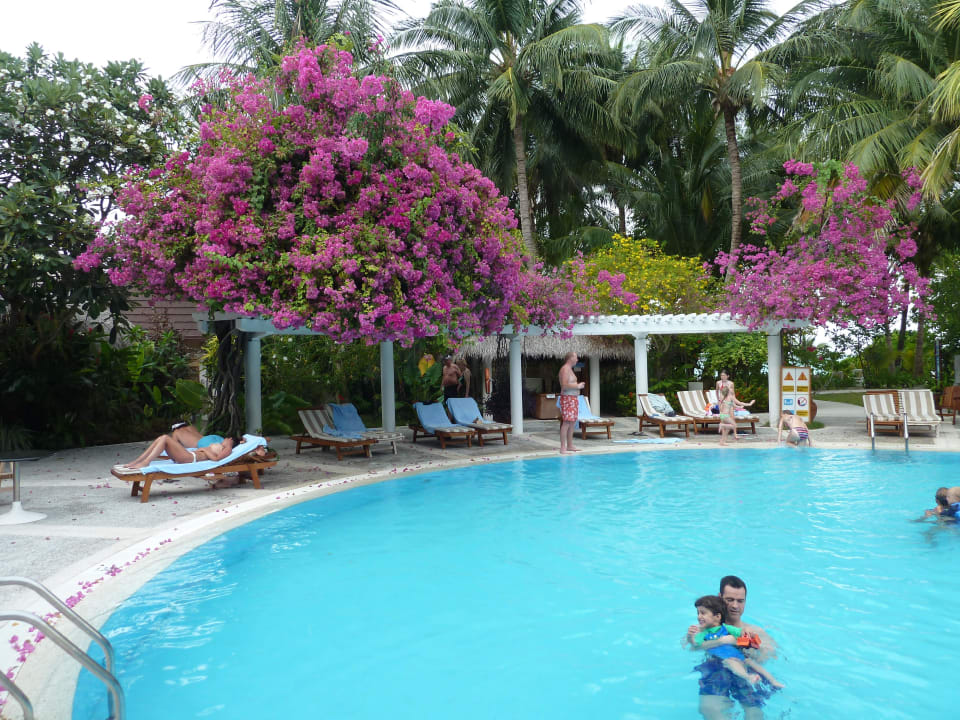 Pool beim Fitnessraum Kuramathi Maldives