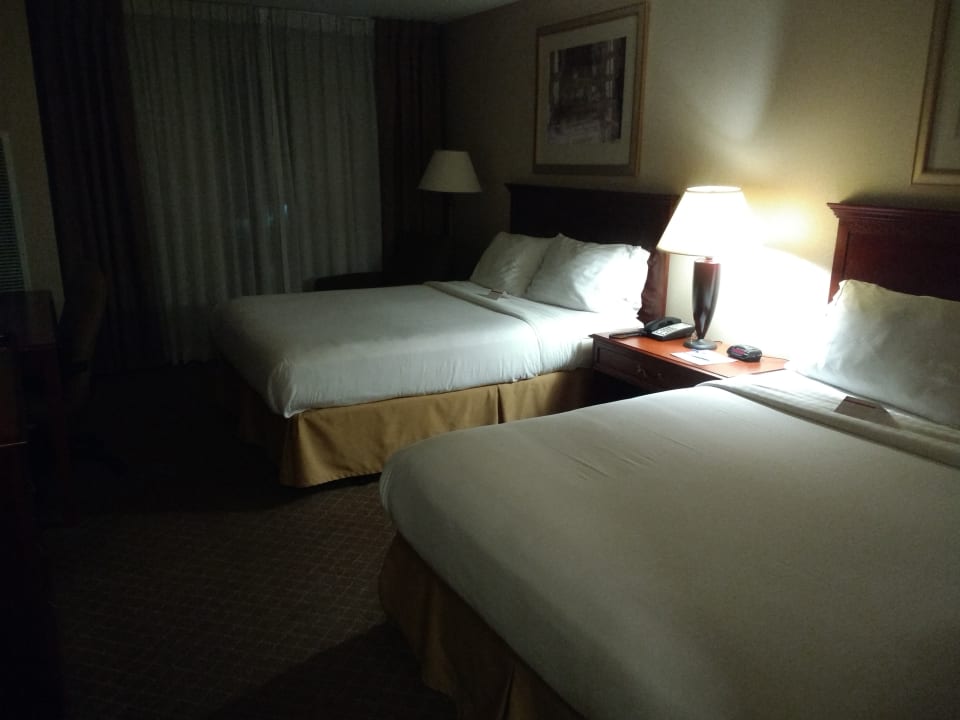Zimmer Holiday Inn Express Hotel & Suites Lacey