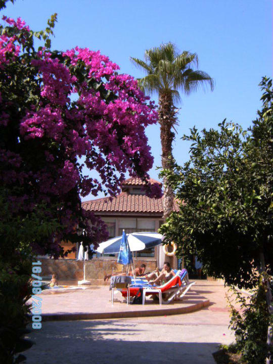 der Weg zum  Pool Özlem Garden Hotel