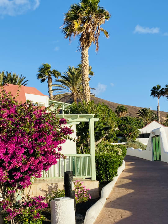 Gartenanlage Aldiana Club Fuerteventura