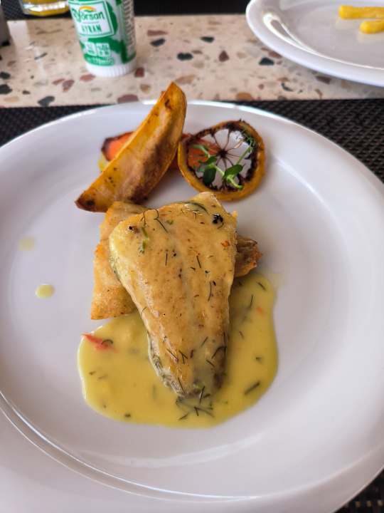 Gastro Seashell Vega