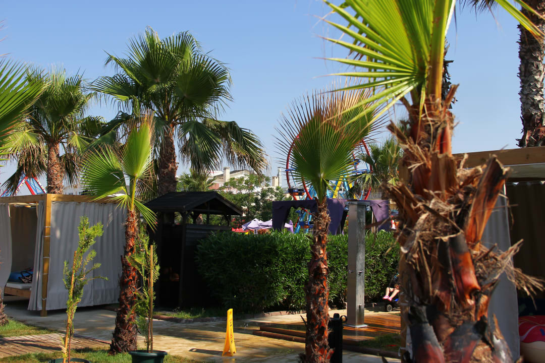 Gartenanlage Elegance East Hotel