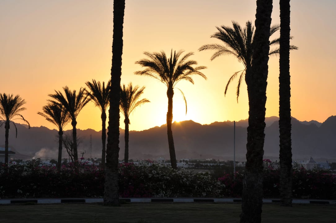 Sonnenuntergang vorm Hotel The Grand Hotel Sharm El Sheikh