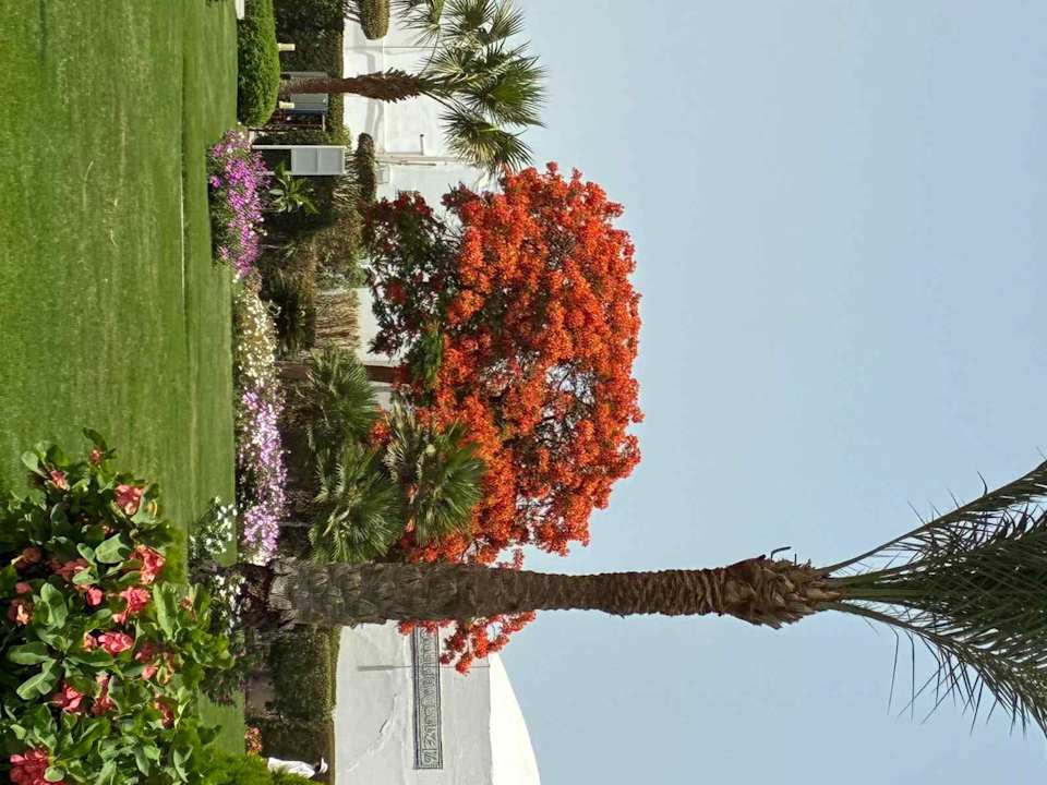 Außenansicht Hotel Mercure Hurghada