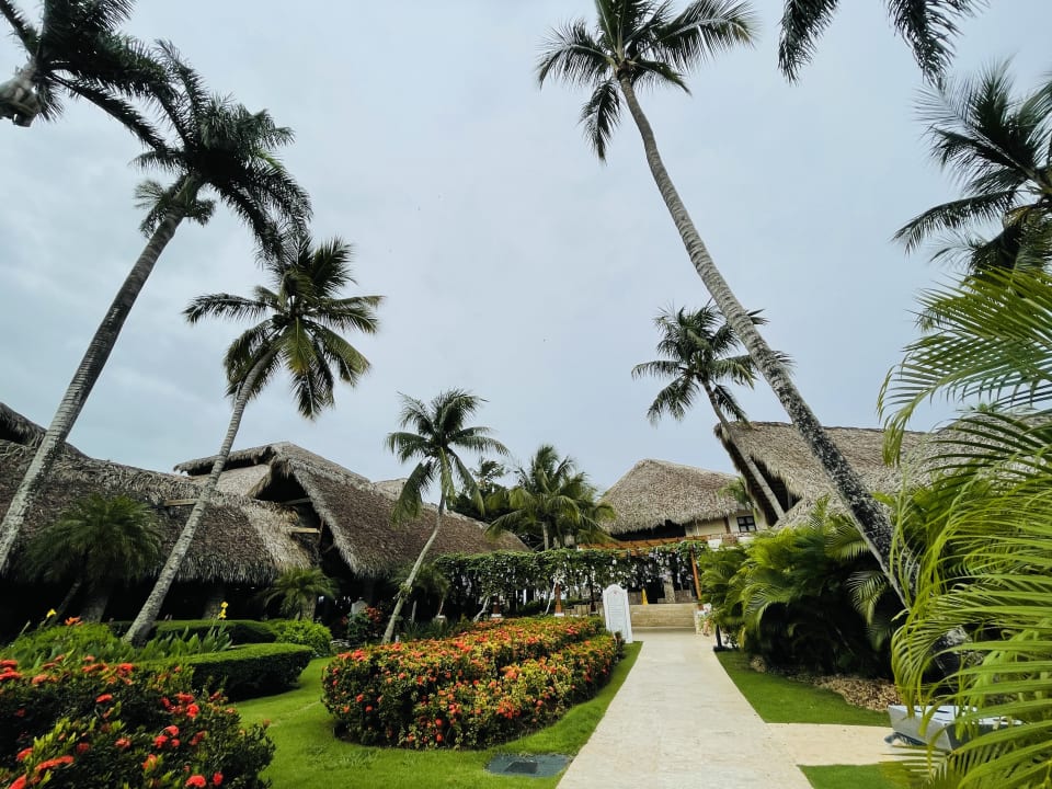 Gartenanlage Hotel Viva Dominicus Beach by Wyndham - All Inclusive Resort