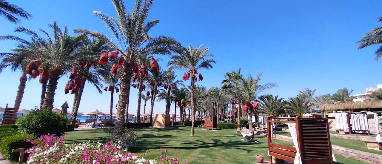 Gartenanlage Fort Arabesque Resort, Spa & Villas