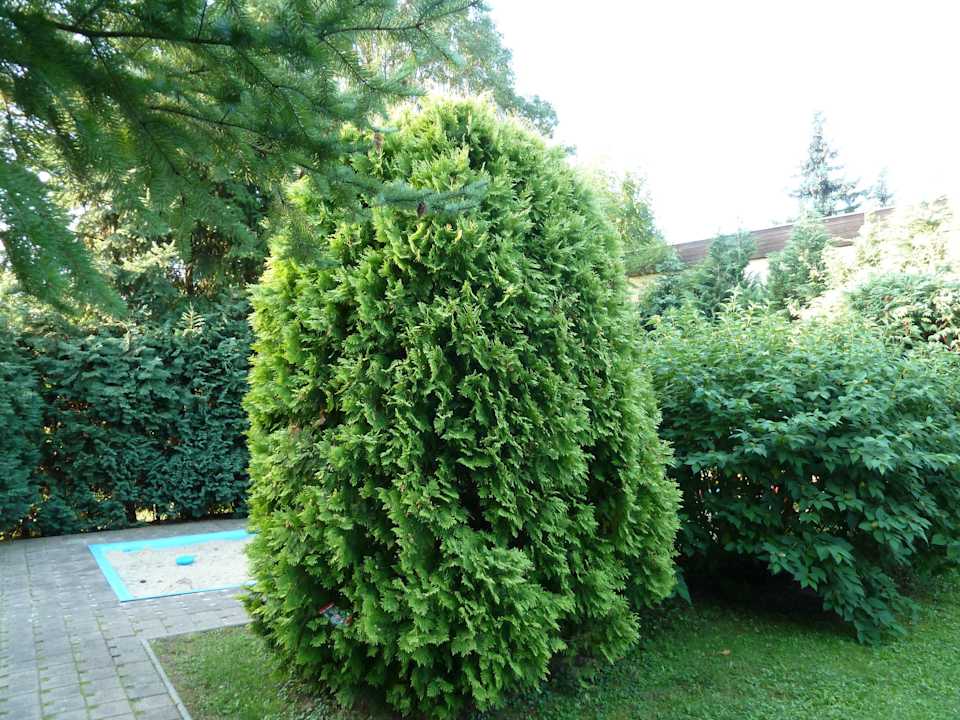 Gang zur Kinderspielecke GreenLine Landhotel Dresden