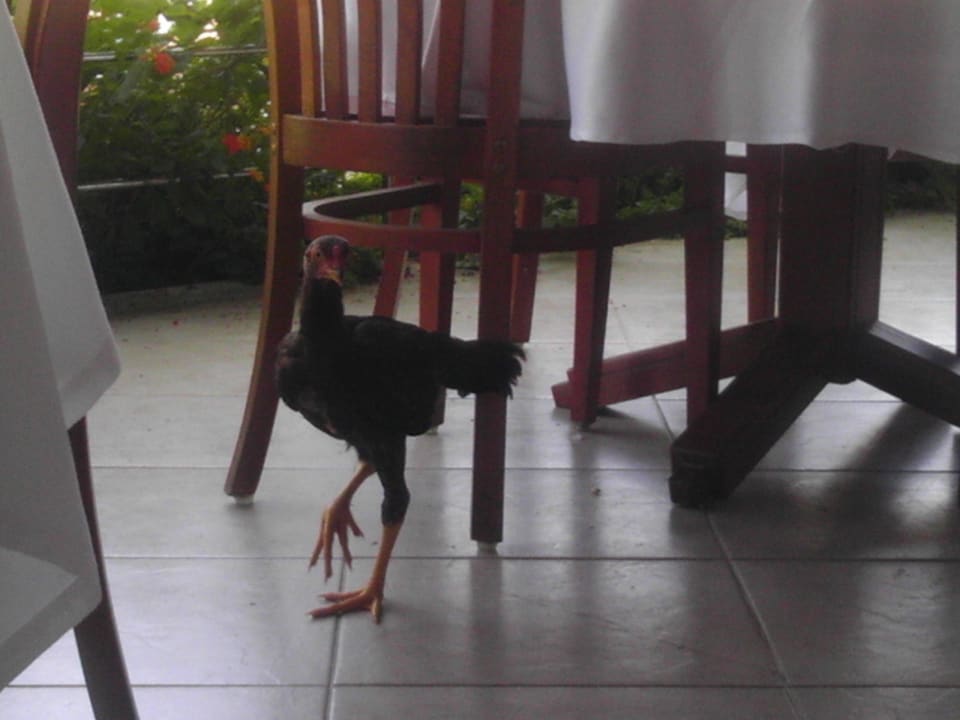 . VONRESORT Golden Beach