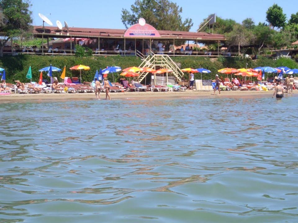 Strand Clover Magic Nova Beach