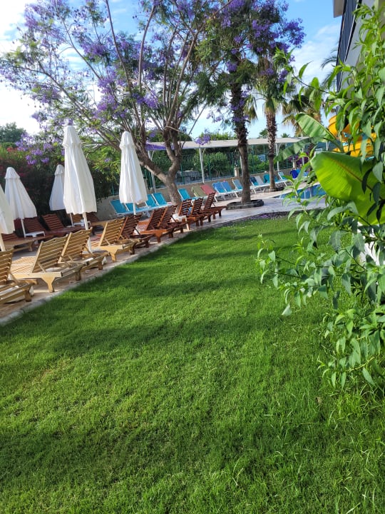 Gartenanlage Dream World Palace Hotel