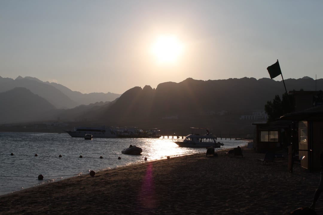 Die Nacht beginnt JAZ Dahabeya