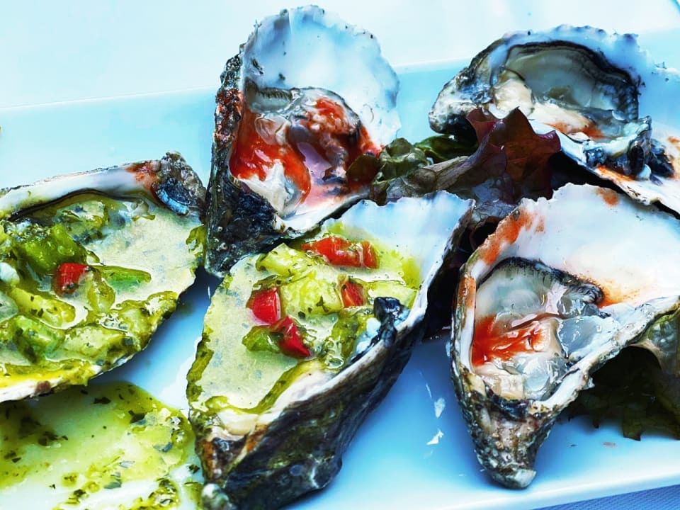 Gastro ROBINSON QUINTA DA RIA