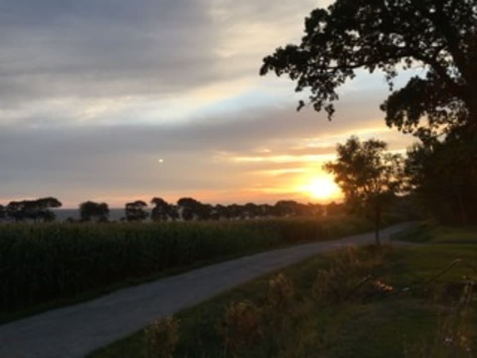 Ausblick Ferienbauernhof Liesenberg mit Meerblick