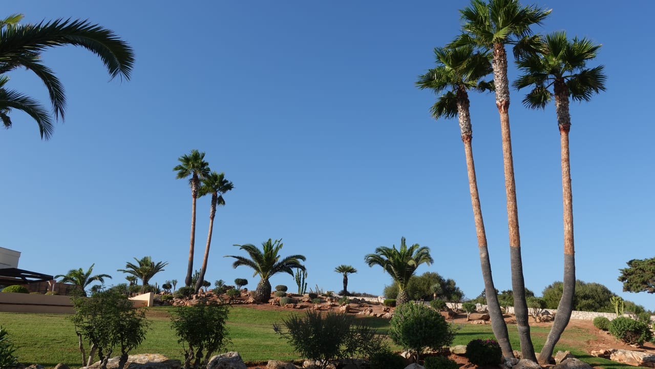 Gartenanlage TUI KIDS CLUB Punta Prima