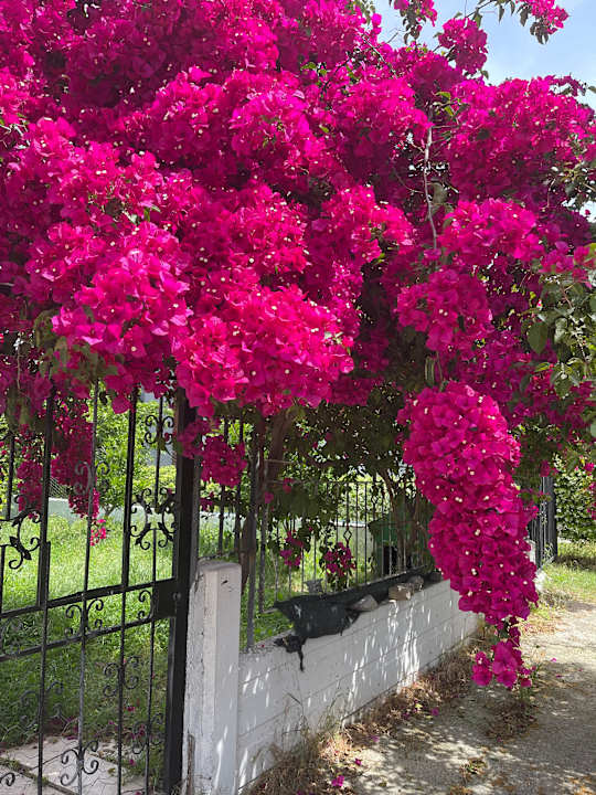 Außenansicht Seaden Quality Resort & Spa