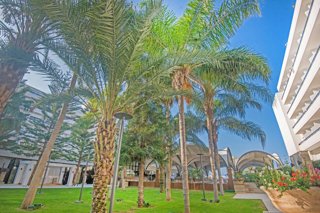  Semeli Gardens Adams Beach Hotel