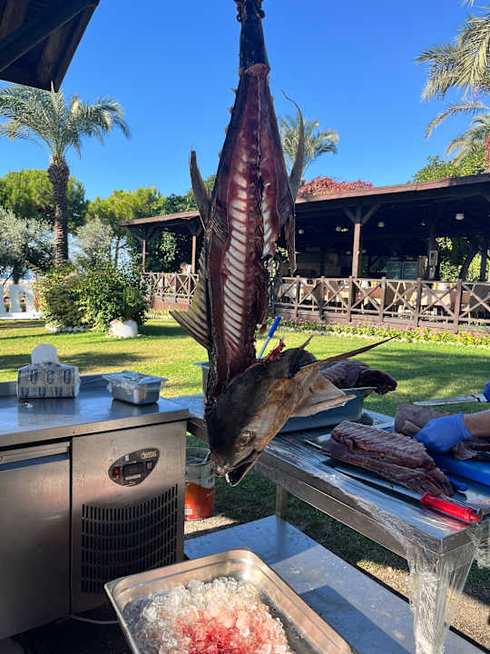 Gastro Sunis Kumköy Beach Resort Hotel & Spa