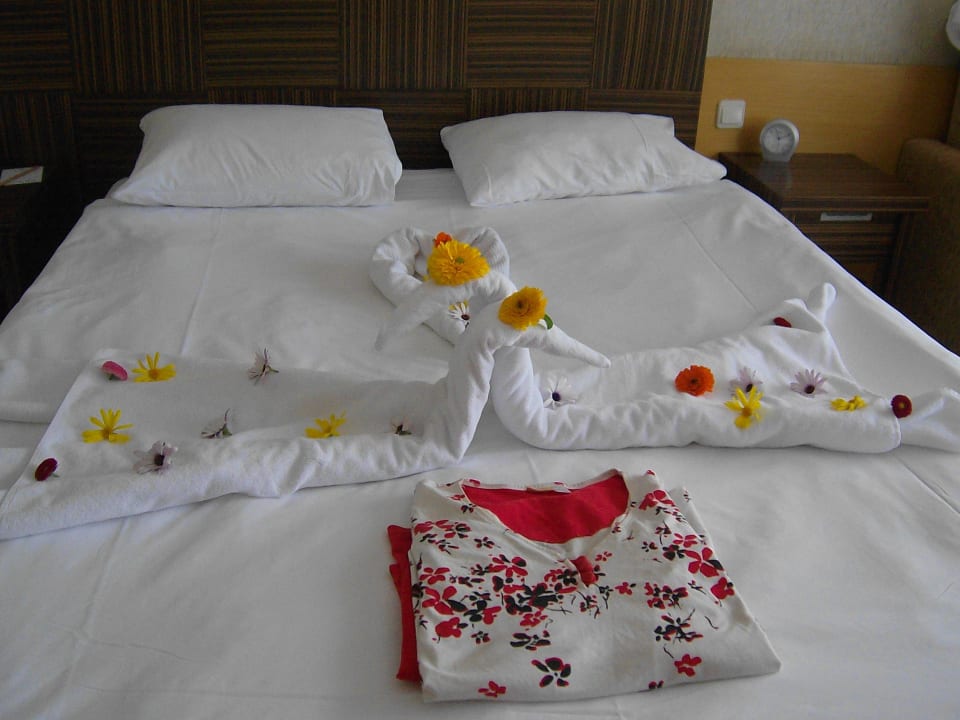 Blumen zur Wiedergutmachung Sherwood Exclusive Lara