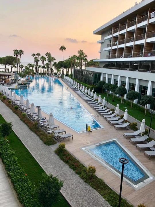 Pool Acanthus Cennet Barut Collection